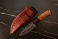 HTK29 - WRO4 - Rosewood Olive Drop Point Knife - HomeTown Knives