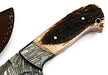 HTS-504  Damascus Knife custom handmade Skinner Knife / Stag Horn / Fire Pattern / Great quality / Camping / Hunting - HomeTown Knives