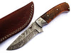 HTS-85Damascus Utility Knife/ Skinner / Hunting / Camping / Hand Made / Custom / EXOTIC HIMALAYAN Wood Handle / - HomeTown Knives